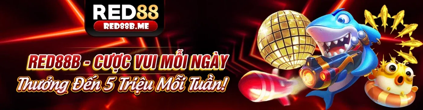 Ưu đãi thành viên mới đá gà Thomo